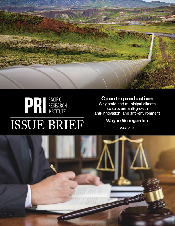 LitigationBrief Cover