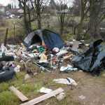 California 3050967723 3df7ba49c8 o Eric FredericksOakPark