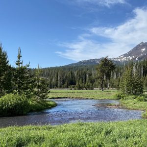 Environment StockSnap ONGJQ9QN0R