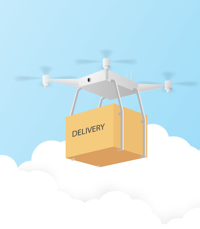 DroneDelivery