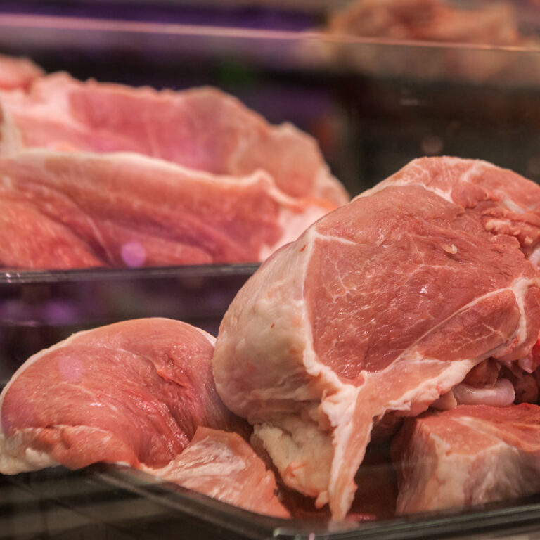 MeatCounter julia filirovska 8251005