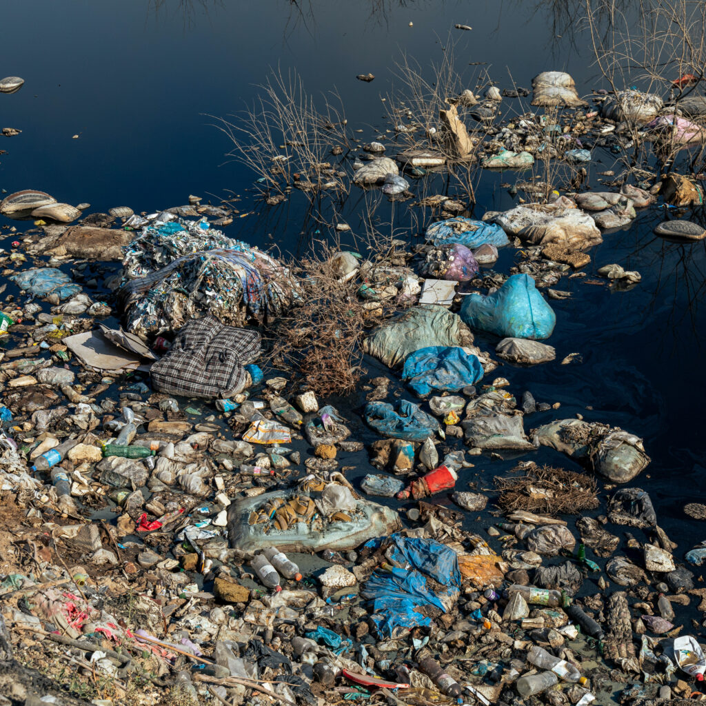 The High Cost of Doing the Right Thing – What a Trip to the Dump Has in Common with the DMV