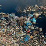 trash recycling