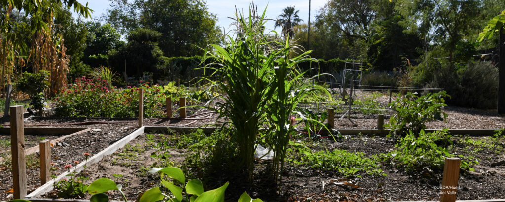 HuertaUrbanFarm