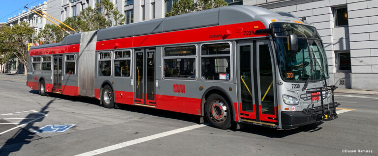 MUNI Buses