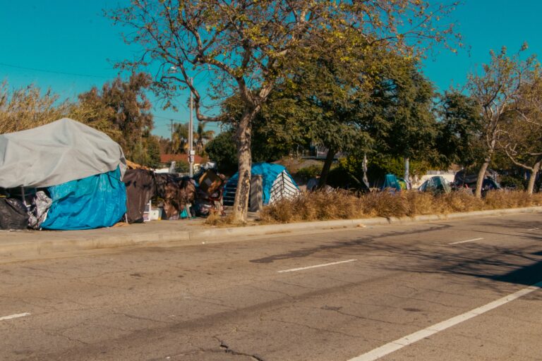 A,Street,In,La,With,Unhoused,People,Tents,,Crisis,In