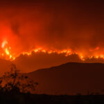 Wildfire 35524037680 0673ce557c k