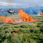 Wildfire getty images gAKBZPMJXVs unsplash