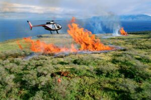 Wildfire getty images gAKBZPMJXVs unsplash