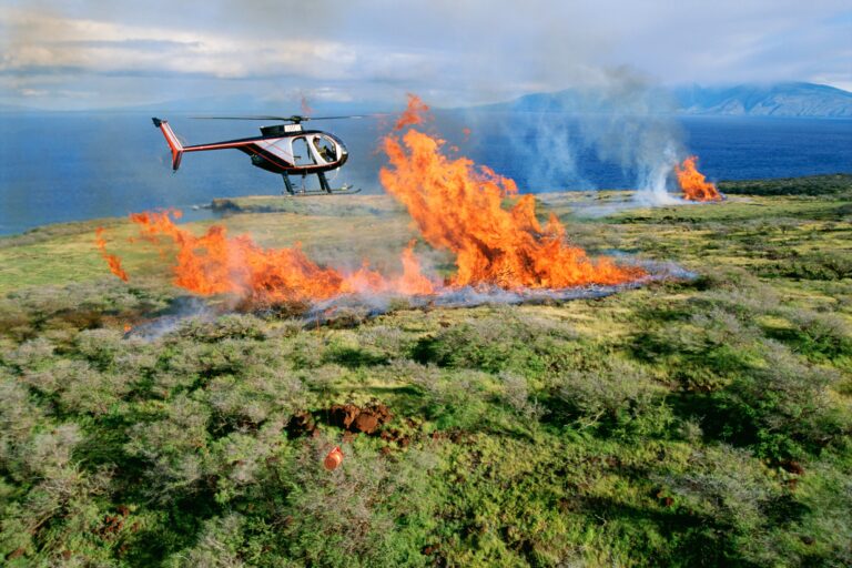 Wildfire getty images gAKBZPMJXVs unsplash