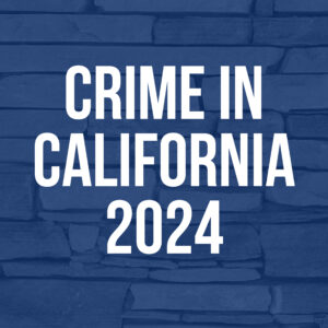 CrimeBlockImage