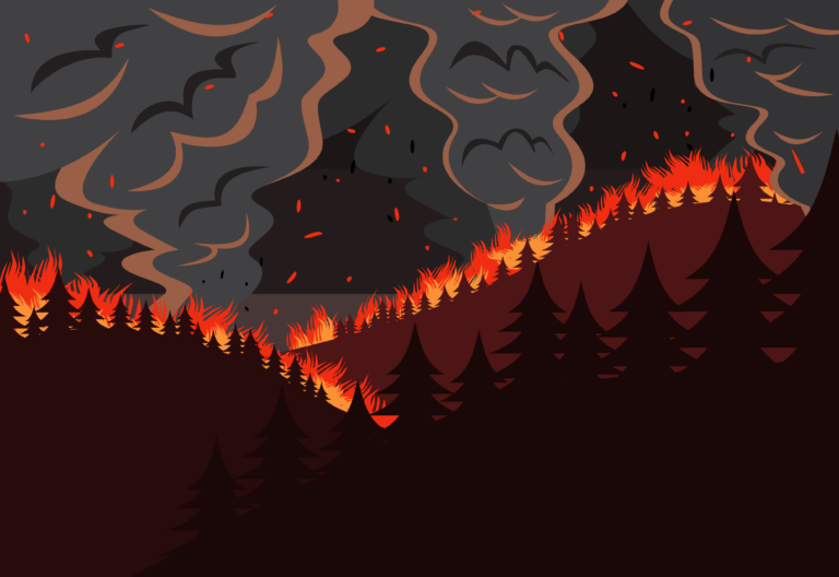 ubaid e alyafizi wildfireIllustration unsplash